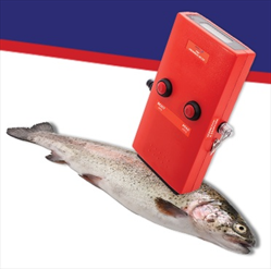 Máy đo độ tươi sạch của cá Distell Torrymeter